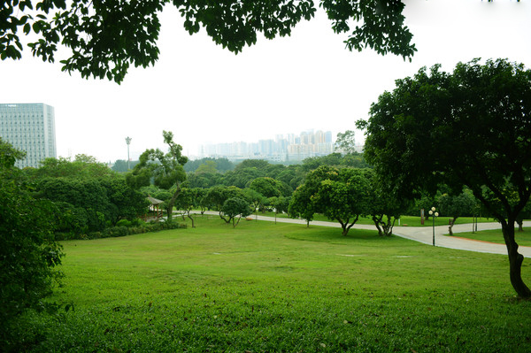 九江公園草皮