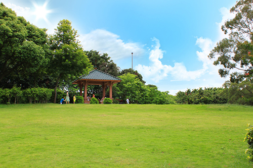 上饒公園一角