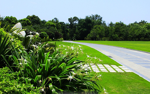 贛州公園一角