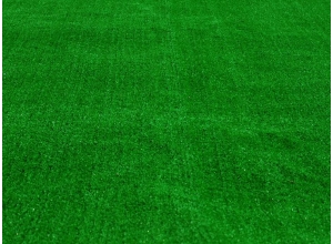 贛州地毯草